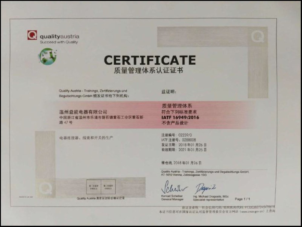 2008年2月通过TS16949:2002质量体系认证